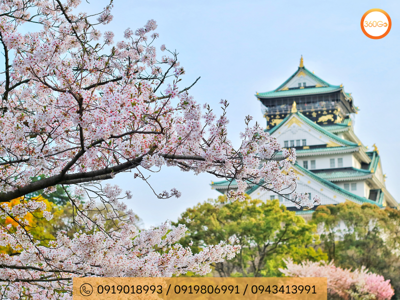Lâu đài Osaka Nhật Bản - Du lịch 360Go 